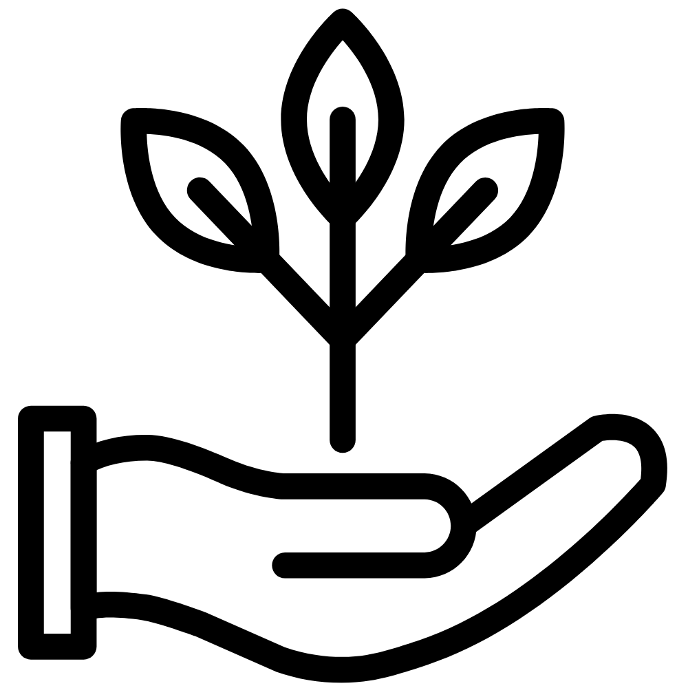 respect de l'environnement